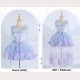 Floral Rendezvous Lolita Style Dress JSK by Urtto (UR17)